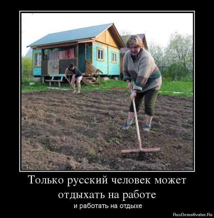 прикольные картинки с надписями про работу