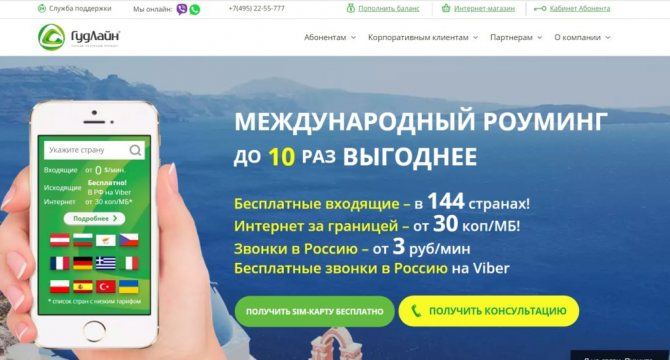 техподдержка гудлайн