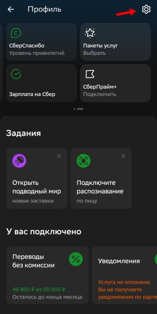 Как Отключить Комиссию в Сбербанке Бизнес Онлайн • Через банкомат