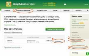 Как Перевести Деньги с Карточки Тинькофф на Телефон